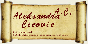 Aleksandra Cicović vizit kartica